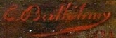 signature-berthelemy.jpg