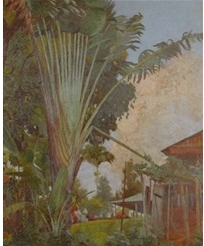 martinique-bodard.jpg