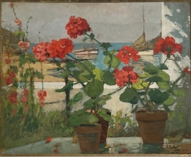 geranium-callot-henri.jpg