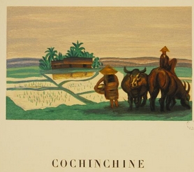 cochinchine.jpg