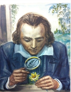 botaniste-decaris-albert.jpg