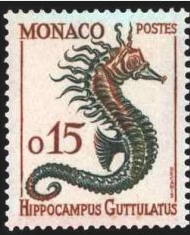 hipocampe.jpg