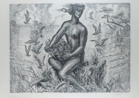 oiseaux-decaris-albert.jpg