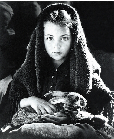 lapin-dieuzaide.jpg