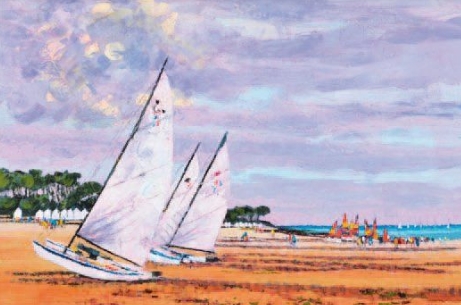 catamaran-king-michel.jpg