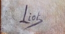 liot-signature.jpg