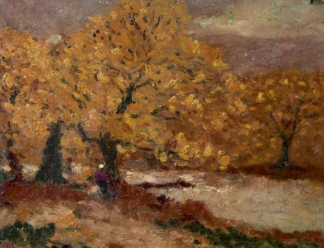 arbres-emile-maillard.jpg