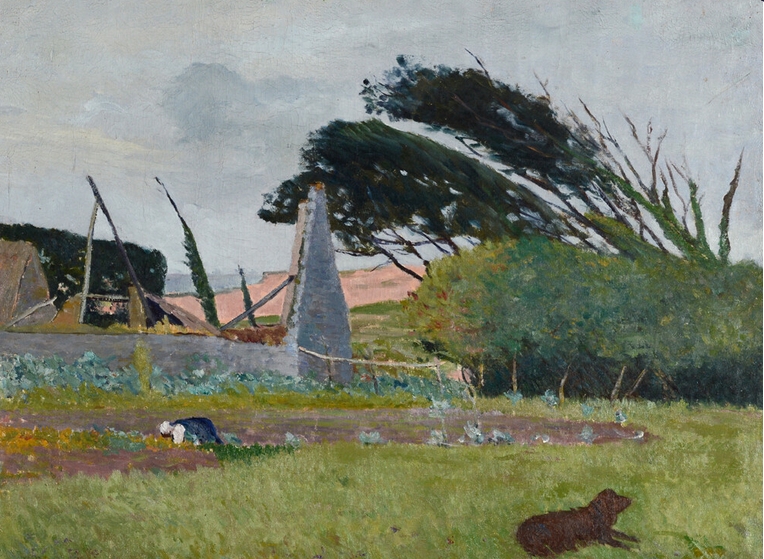 chien-maufra-maxime.jpg