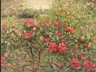 fleurs-maufra.jpg