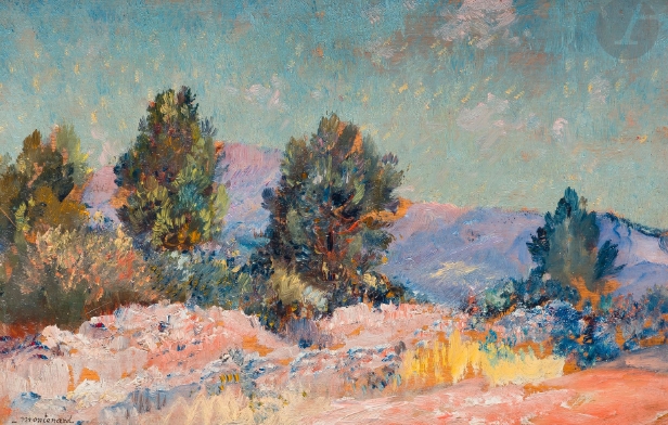 paysage-par-montenard-frederic.jpg