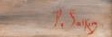 signature-salkin.jpg