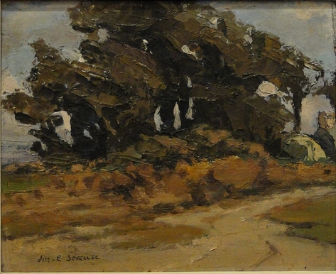 arbre-sevellec-jim.jpg