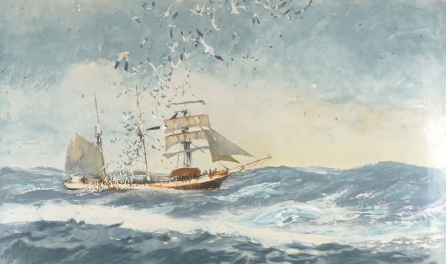 mouettes-brenet.jpg