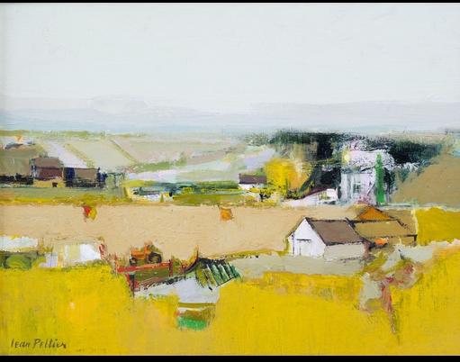 jaune-peltier-jean.jpg
